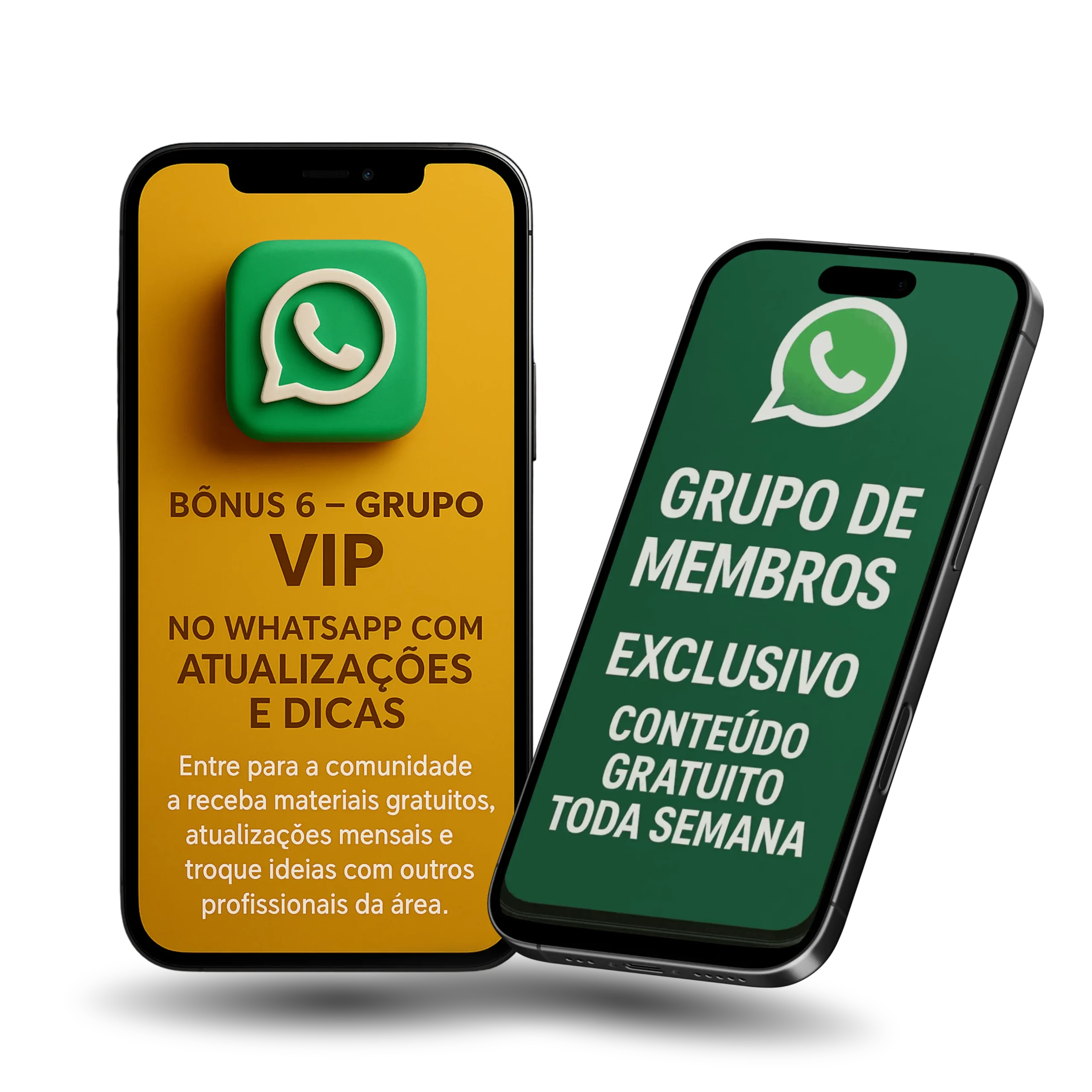 Bônus 1: Grupo VIP no WhatsApp